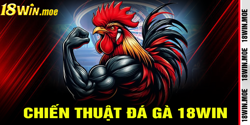 Chiến Thuật Cá Cược Trong Đá gà 18win