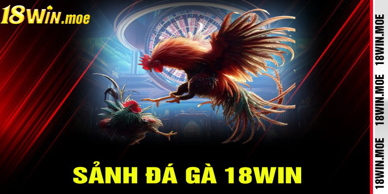 Giới thiệu chung về sảnh đá gà 18win